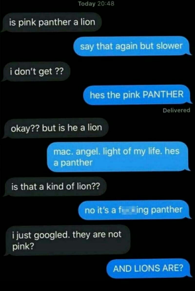 Today 2048 is pink panther a lion idont get Delivered okay but is he a lion is that a kind of lion i just googled they are not pink