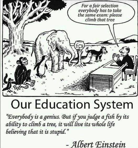 For a fair selection everybody has to take the same exam please climb that tree v bur EauZation System Everybody is a genius But if you judge a fish by its ability to climb a tree it will live its whole life believing that it is stupid Albert Einstein