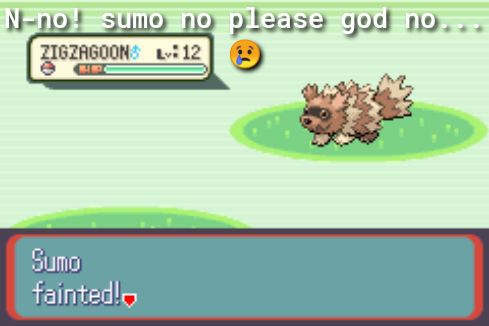 SNotEsU ZIGZAGOON v12 _ 1153 gud 19