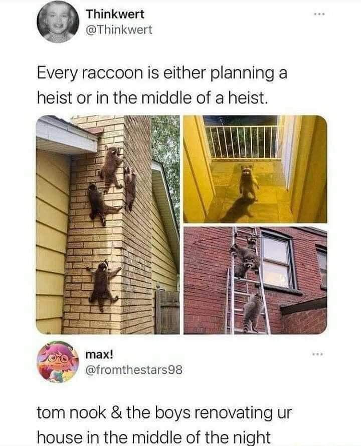 Thinkwert Thinkwert Every raccoon is either planning a heist or in the middle of a heist 1 max a fromthestars98 tom nook the boys renovating ur house in the middle of the night