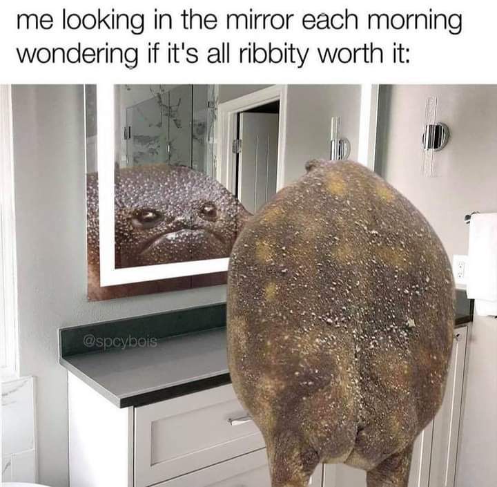 me looking in the mirror each morning wondering if its all ribbity worth it