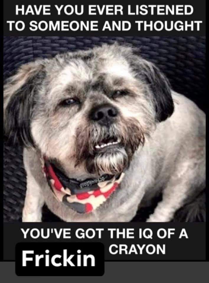 HAVE YOU EVER LISTENED TO SOMEONE AND THOUGHT YOUVE GOT THE IQ OF A o o o127e Frickin