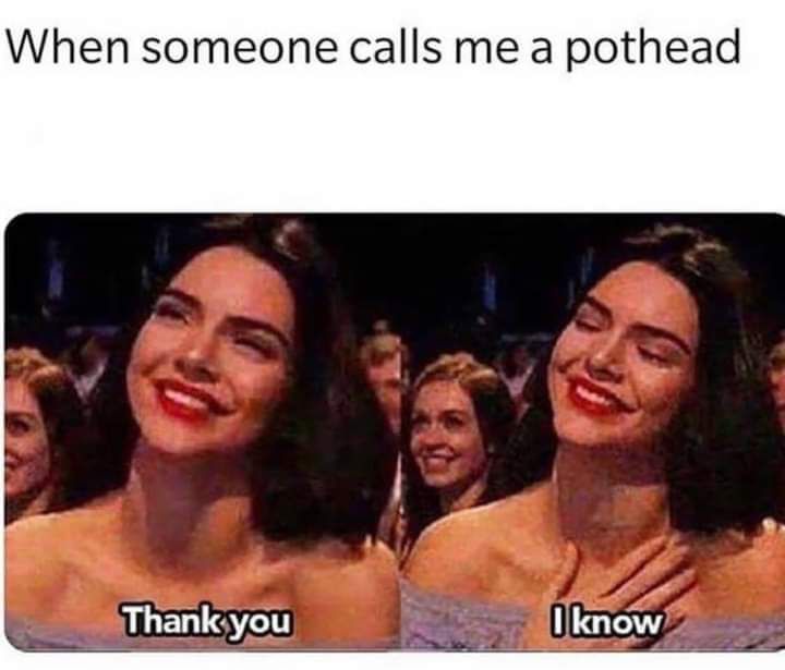 When someone calls me a pothead 1know