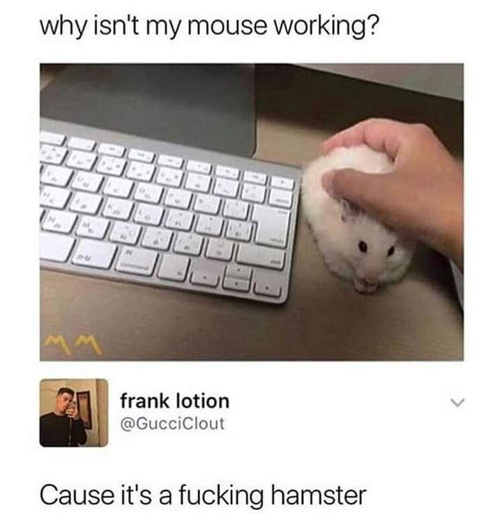 why isnt my mouse working frank lotion GucciClout Cause its a fucking hamster