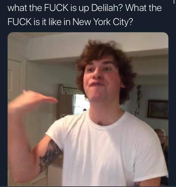 what the FUCK is up Delilah What the FUCK is it like in New York City