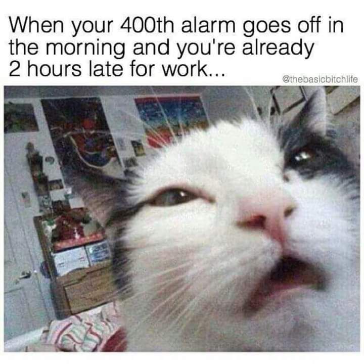 When your 400th alarm goes off in the morning and youre already 2 hours late for work
