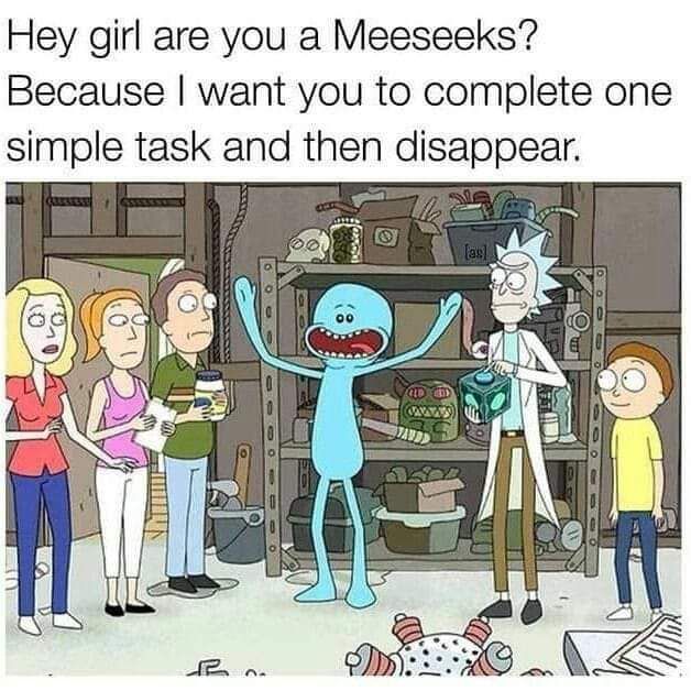 Hey girl are you a Meeseeks Because want you to complete one simple task and then disappear