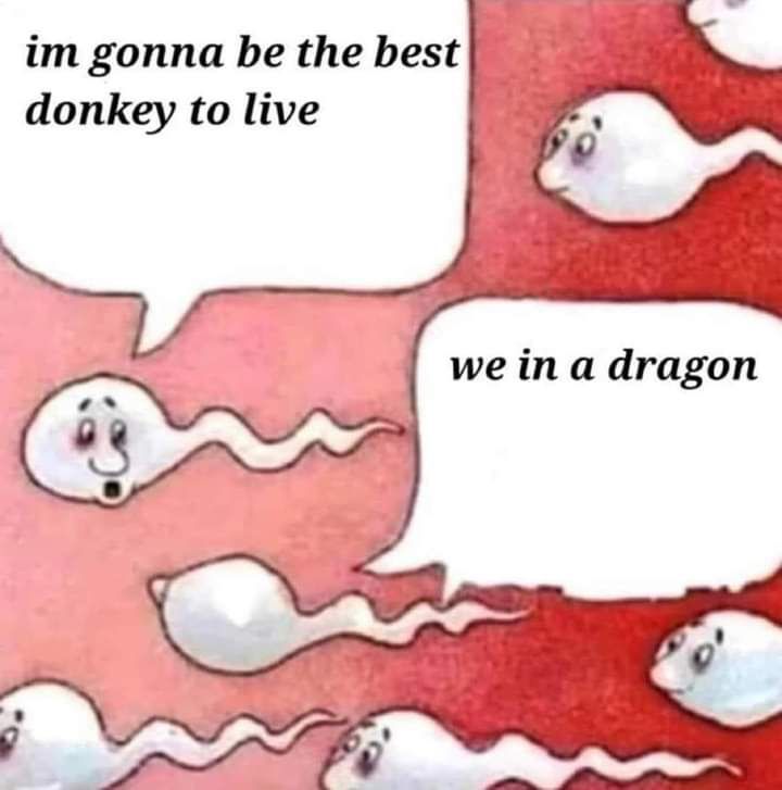 im gonna be the best donkey to live