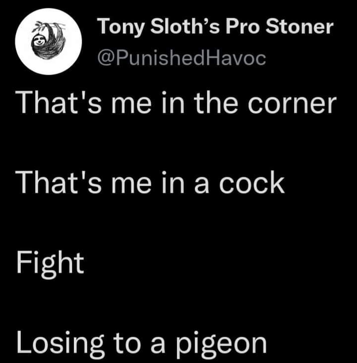 Tony Sloths Pro Stoner IVs1SglTe g FoVole Thats me in the corner Thats me in a cock Fight Welip R e J Woll Tog