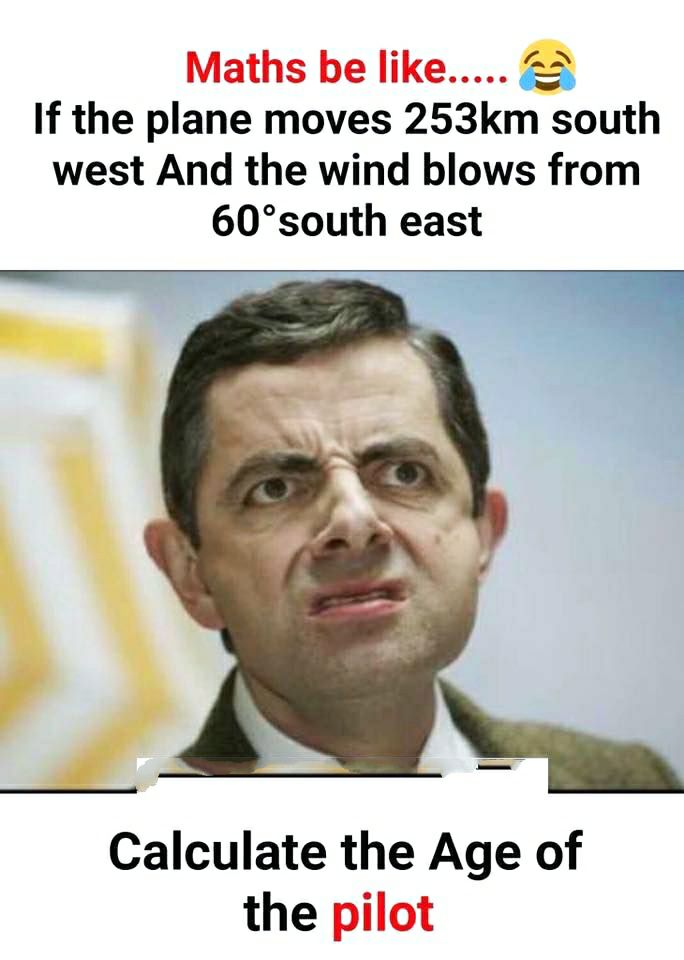 Maths be like 22 If the plane moves 253km south west And the wind blows from 60south east Calculate the Age of the pilot