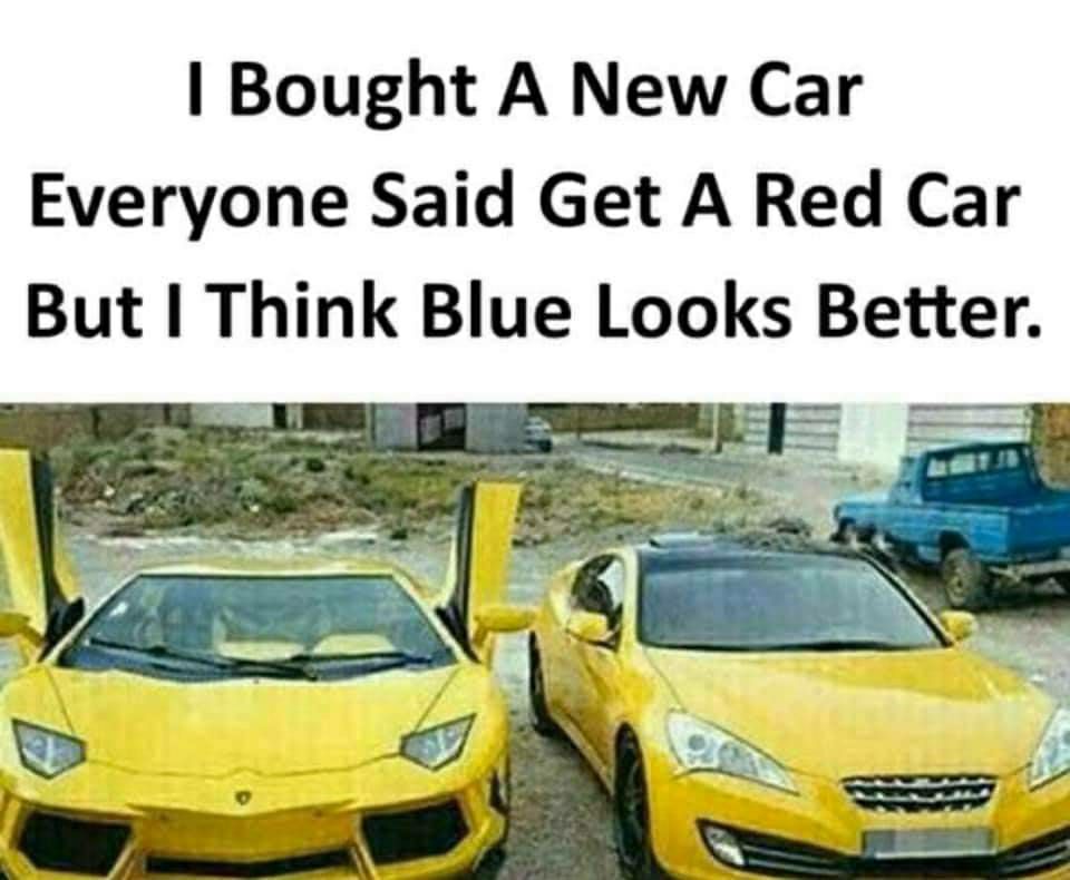 Bought A New Car Everyone Said Get A Red Car But Think Blue Looks Better