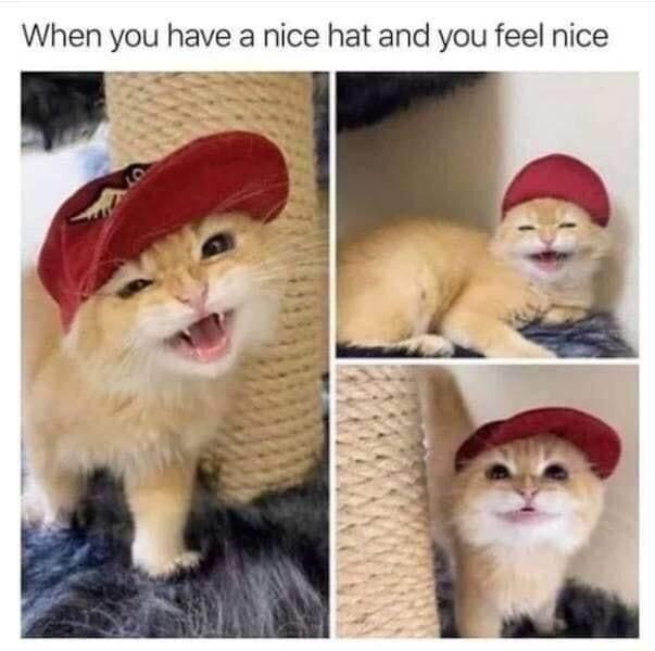 When you have a nice hat and you feel nice