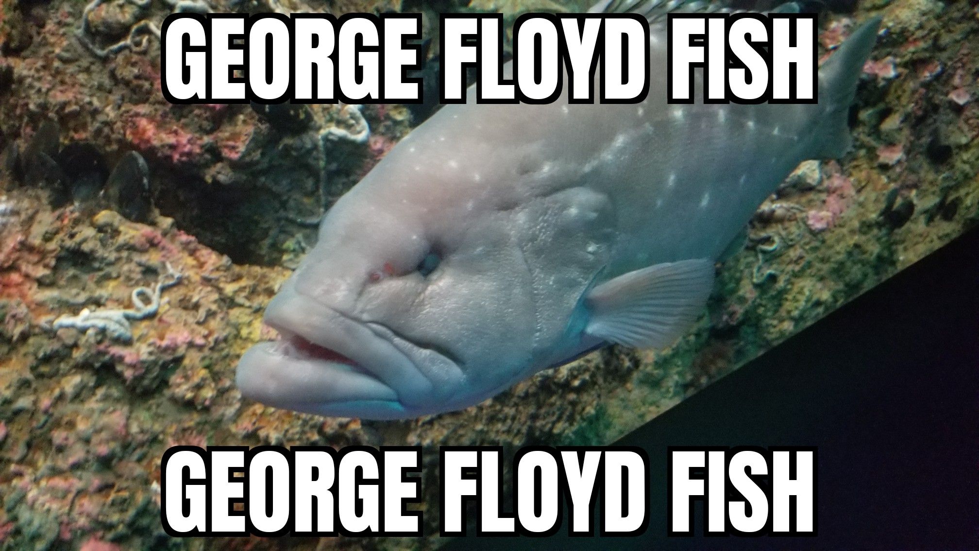 O d r e BGE F I 0 L o s v