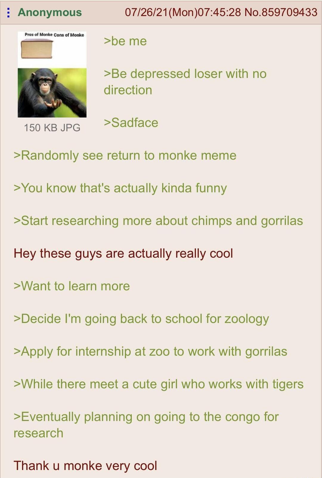 Anonymous 072621Mon074528 No859709433 Pros of Monke Cons of Monke be me Be depressed loser with no direction 150 kB PG Sadface Randomly see return to monke meme You know thats actually kinda funny Start researching more about chimps and gorrilas Hey these guys are actually really cool Want to learn more Decide Im going back to school for zoology Apply for internship at zoo to work with gorrilas Wh