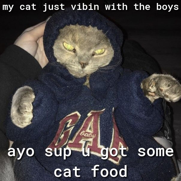 1112 T oy NV E3 RV 1 o N BT B of T f o TN o T VA ayo
