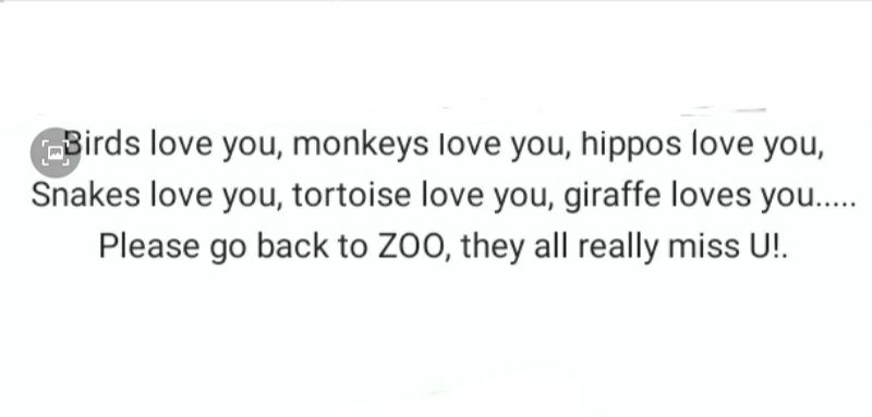 irds love you monkeys love you hippos love you Snakes love you tortoise love you giraffe loves you Please go back to ZOO they all really miss U