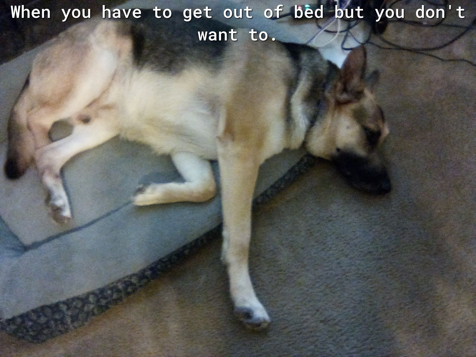 When youhave to get out 7 ed bUt you dont