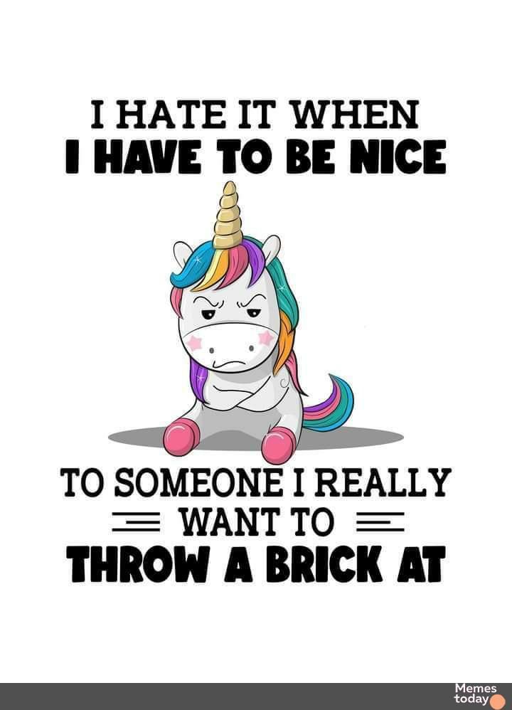 I HATE IT WHEN 1 HAVE IO BE NICE TO SOMEONE I REALLY WANTTO THROW A BRICK AT Memes