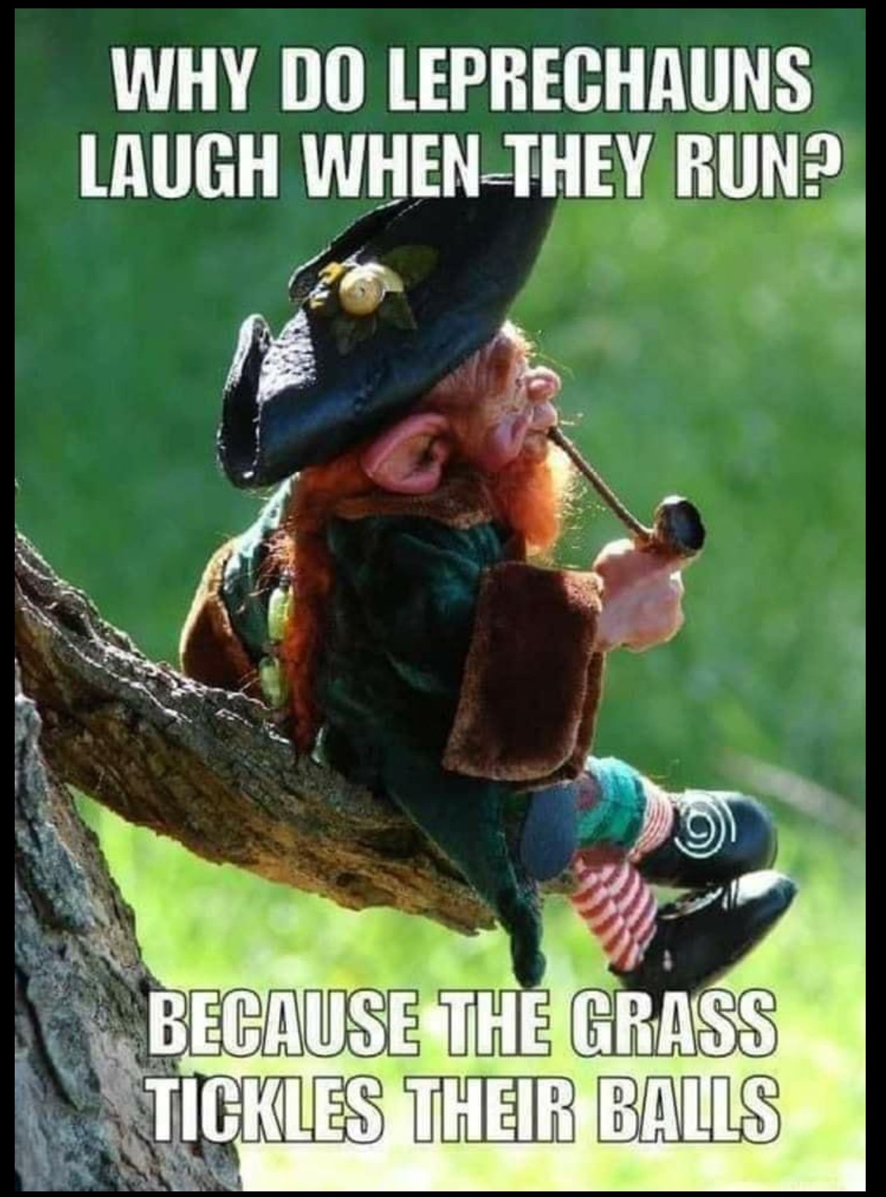 WHY DO LEPRECHAUNS LAUGH WHENTHEY B 4