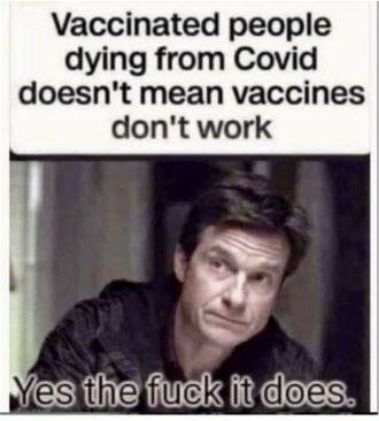 Vaccinated people dying from Covid doesnt mean vaccines dont work Vies fie fuslk it dloes