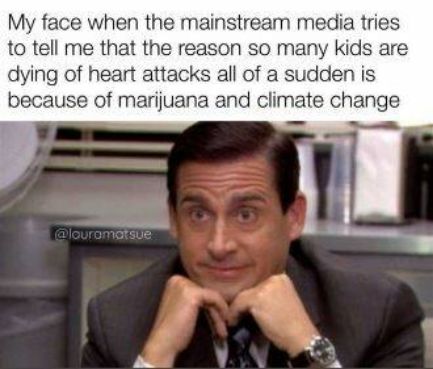 My face when the mainstream media tries to tell me that the reason so many kids are dying of heart attacks all of a sudden is because of marijuana and climate change