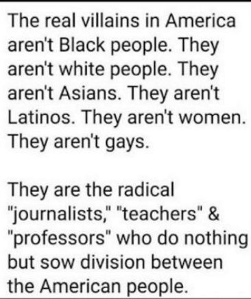 The real villains in America arent Black people They arent white people They arent Asians They arent Latinos They arent women They arent gays They are the radical journalists teachers professors who do nothing but sow division between the American people