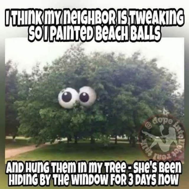 THINKMYNEIGHRORISITWEAKING 501 PAIllTeD BeACII BALLS AND HUNG THEM N MY TREE SHes Reen HIDING BY THE WINDOW FOR 3 DAYS NowW