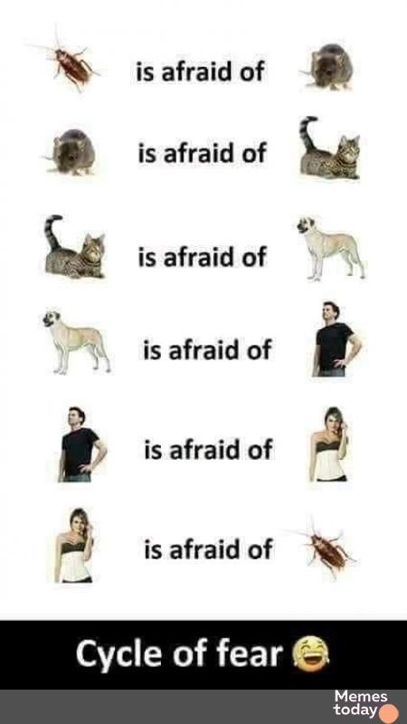 is afraid of is afraid of ___ isafraidof a is afraid of J i is afraid of 9 9 is afraid of R Cycle of fear Memes today