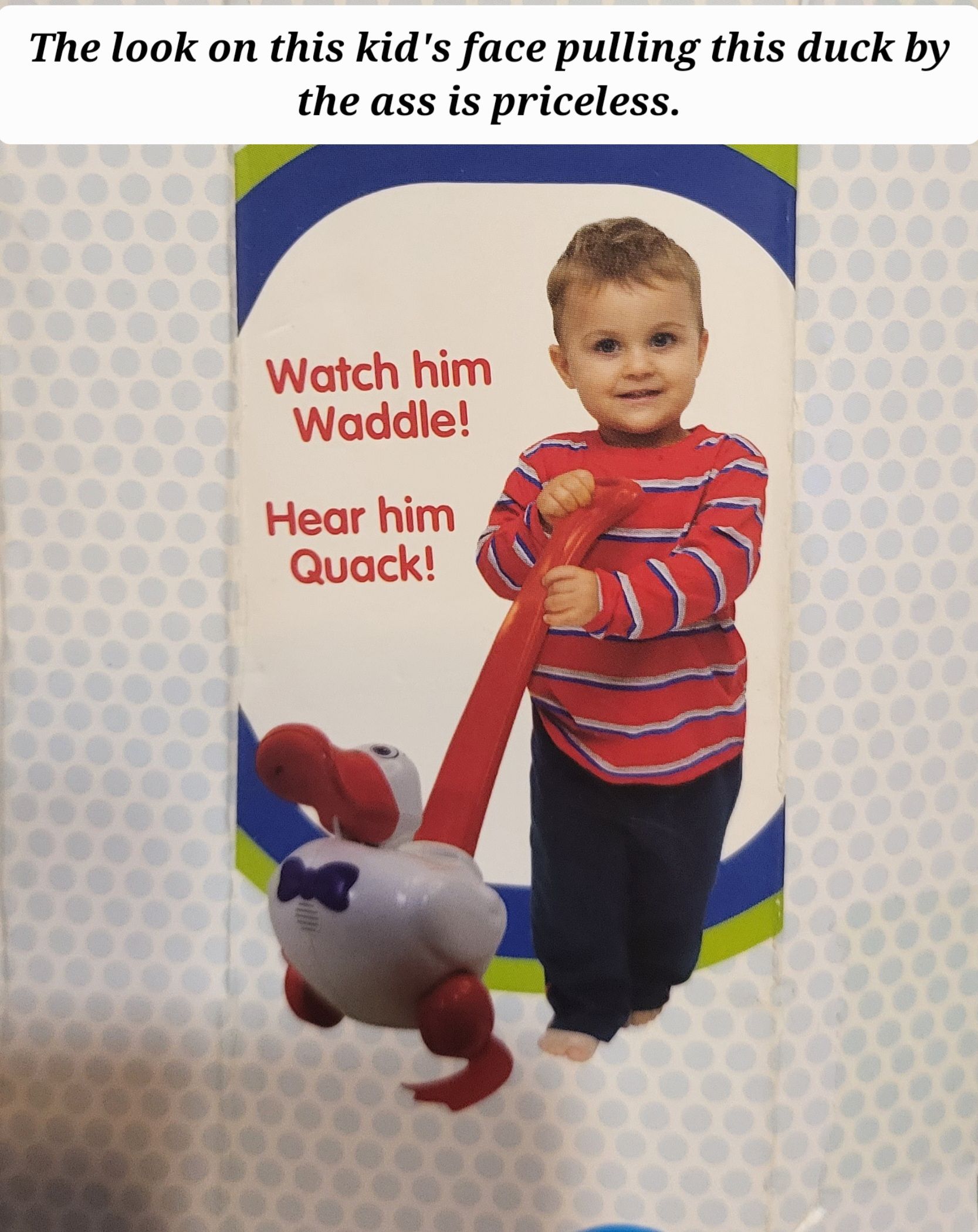 The look on this kids face pulling this duck by the ass is priceless Watch him Waddle Hear him
