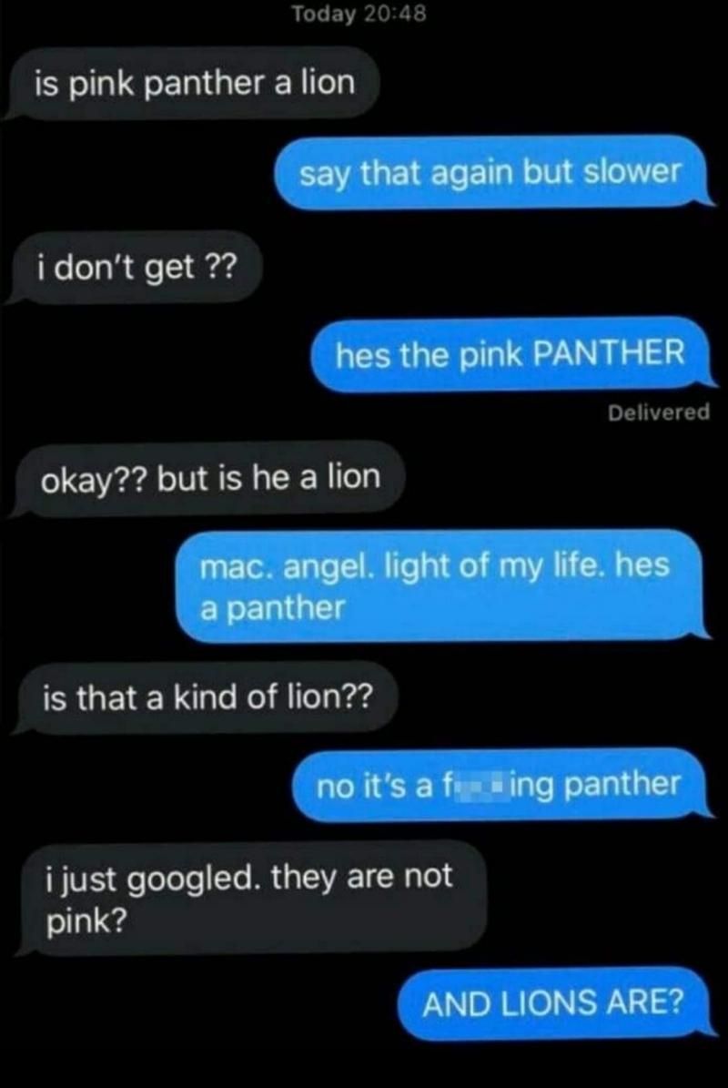 Today 2048 is pink panther a lion idont get Delivered okay but is he a lion RUEIE L e Kol dl Tea ard i just googled they are not pink