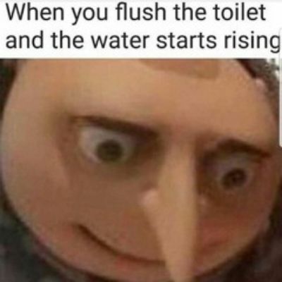 When you flush the toilet and the water starts rising