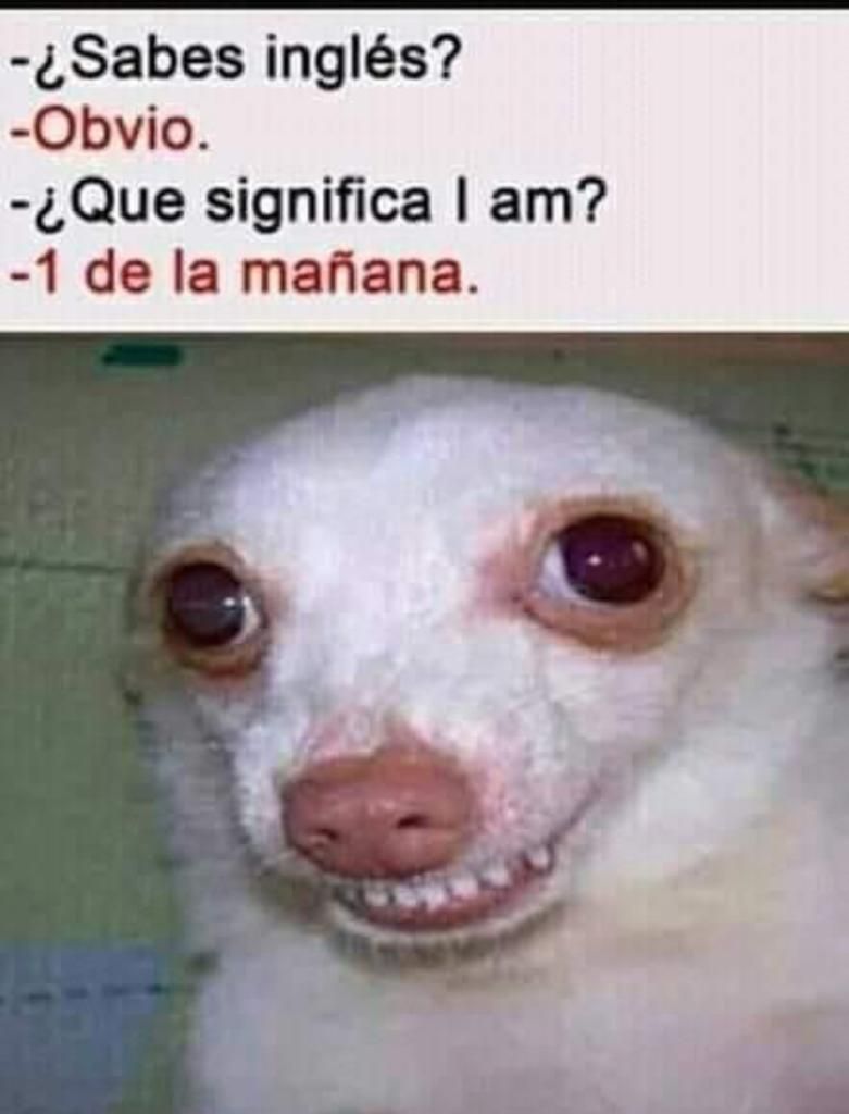 Sabes ingls Obvio Que significa am 1 de la mafiana