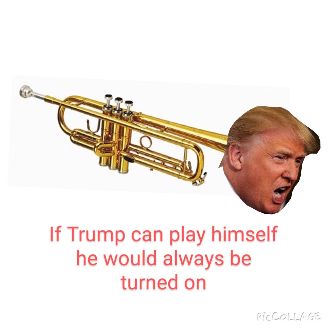 If Trump can play himself he would always be turned on