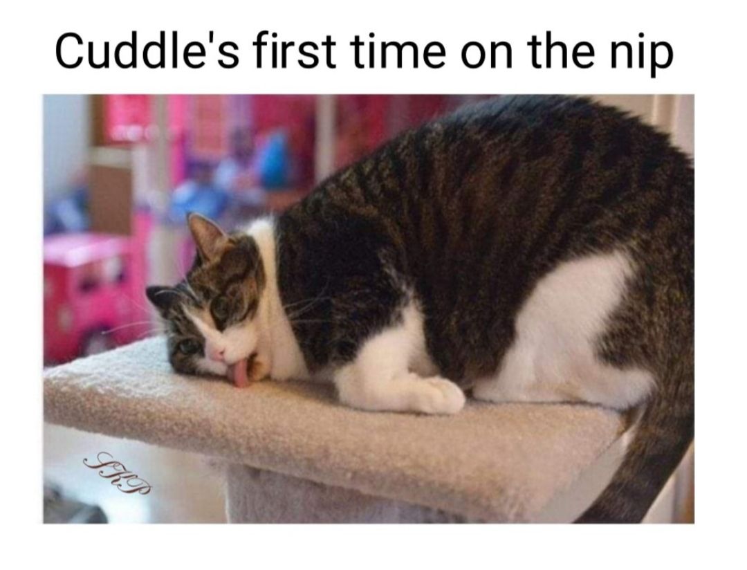 Cuddles first time on the nip L 4