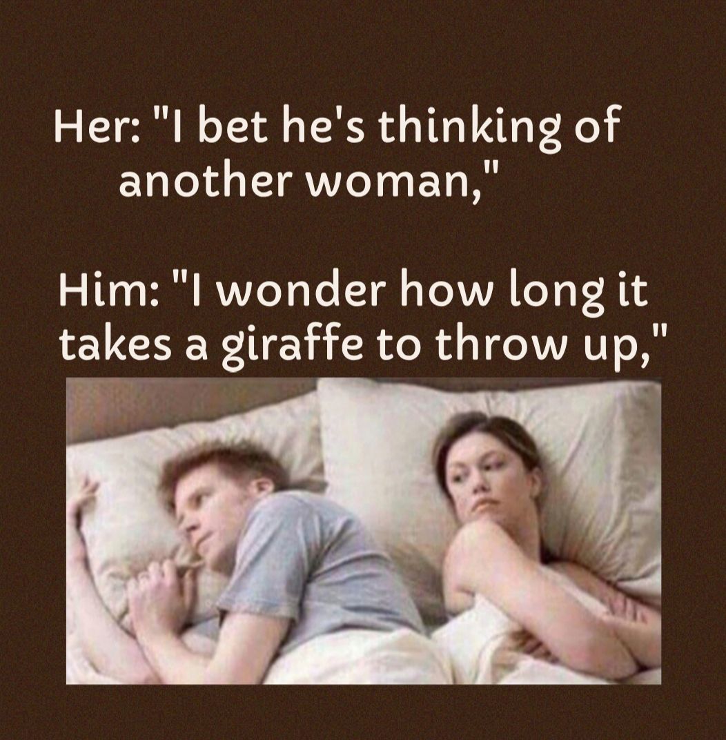 Her l bet hes thinking of another woman 0 B RV VZeToTo Tl TeX VYA FoT 4 RS takes a giraffe to throw up