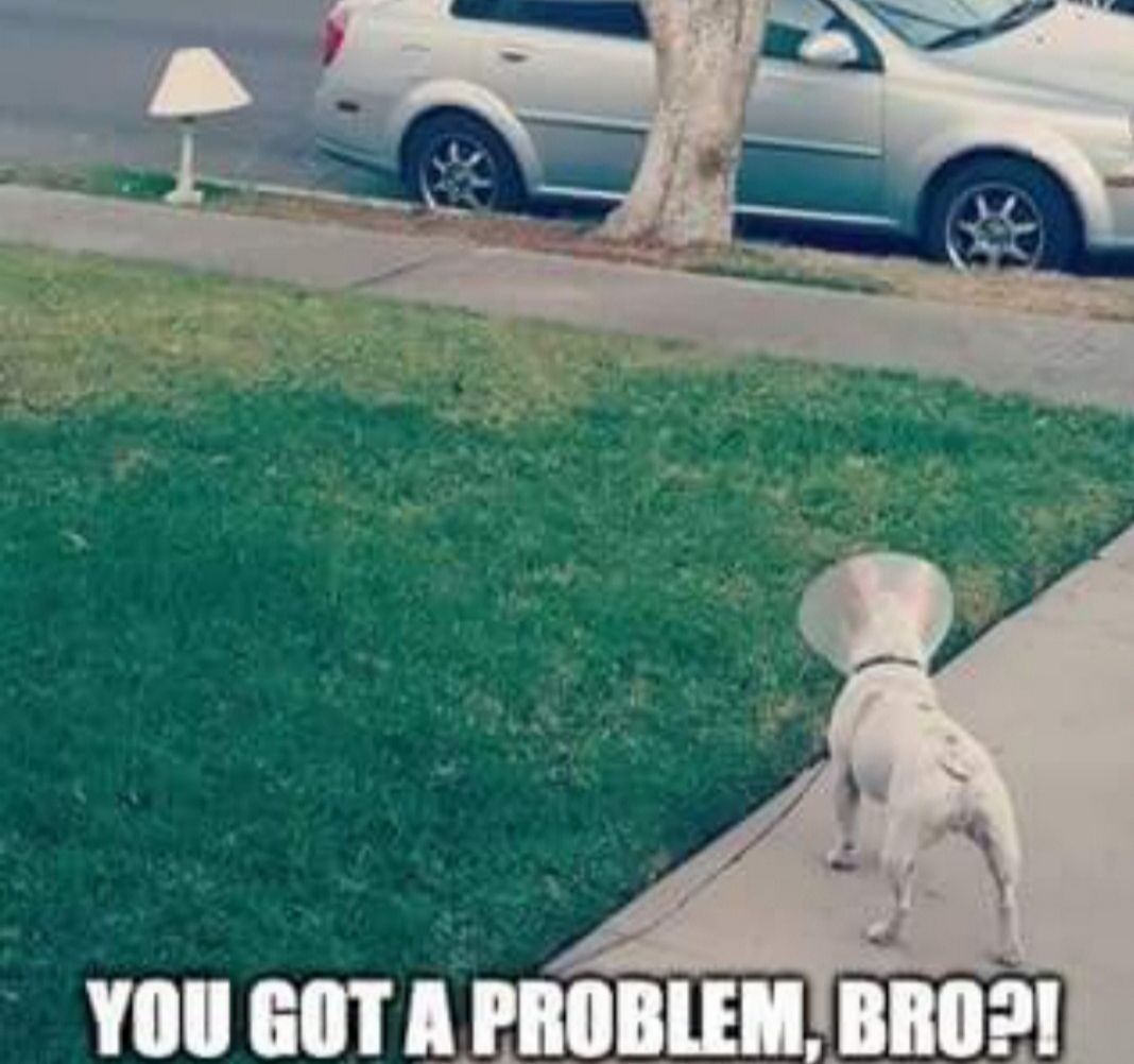 YOU GOT A PROBLEMBRO2