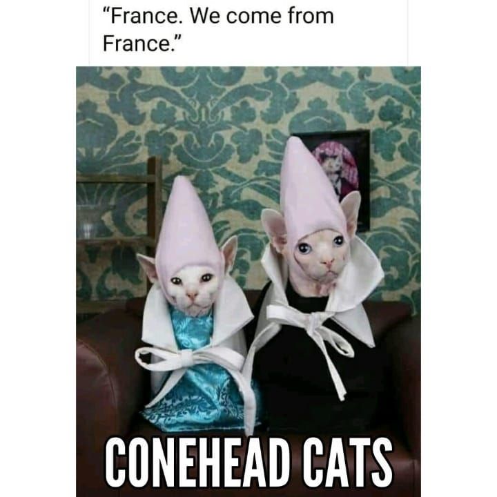 France We come from France