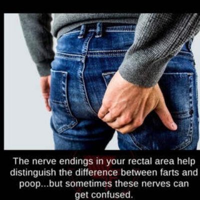 The nerve endings in your rectal area help RGN RG NG EED B RN REG SR L poopbut sometimes these nerves can get confused