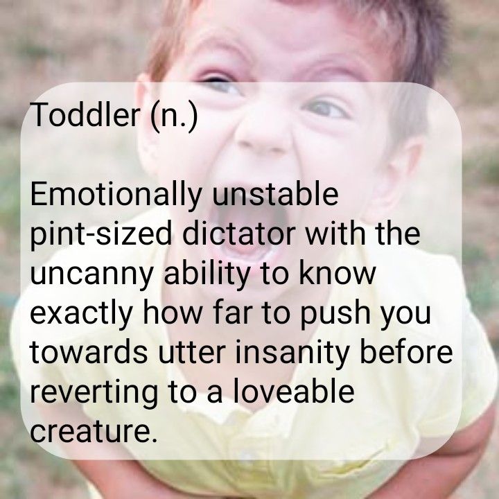 r Toddler n Emotionally unstable pint sized dictator with the uncanny ability to know exactly how far to push you towards utter insanity before reverting to a loveable creature N N Y 4