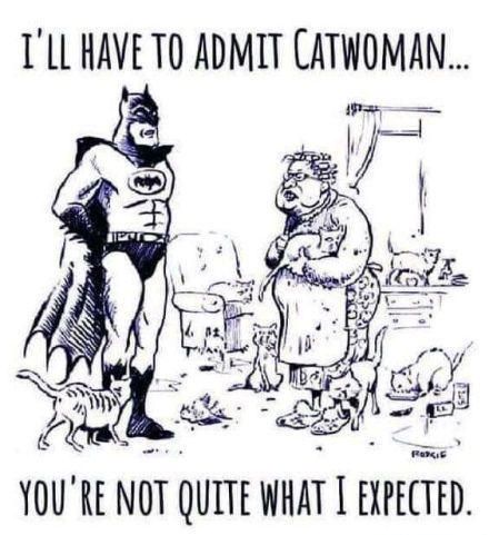 TLLHAVETO ADMIT CATWOMAN YOURE NOT QUIT WHAT I EXIETD