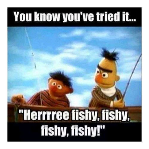 X Herrrree fishy fishy fishy fishy