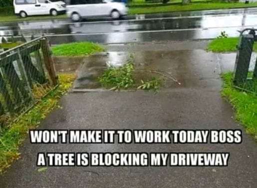 WONT MAlrn WORKTODAY BOSS ATREE IS BLOCKING MY DRIVEWAY