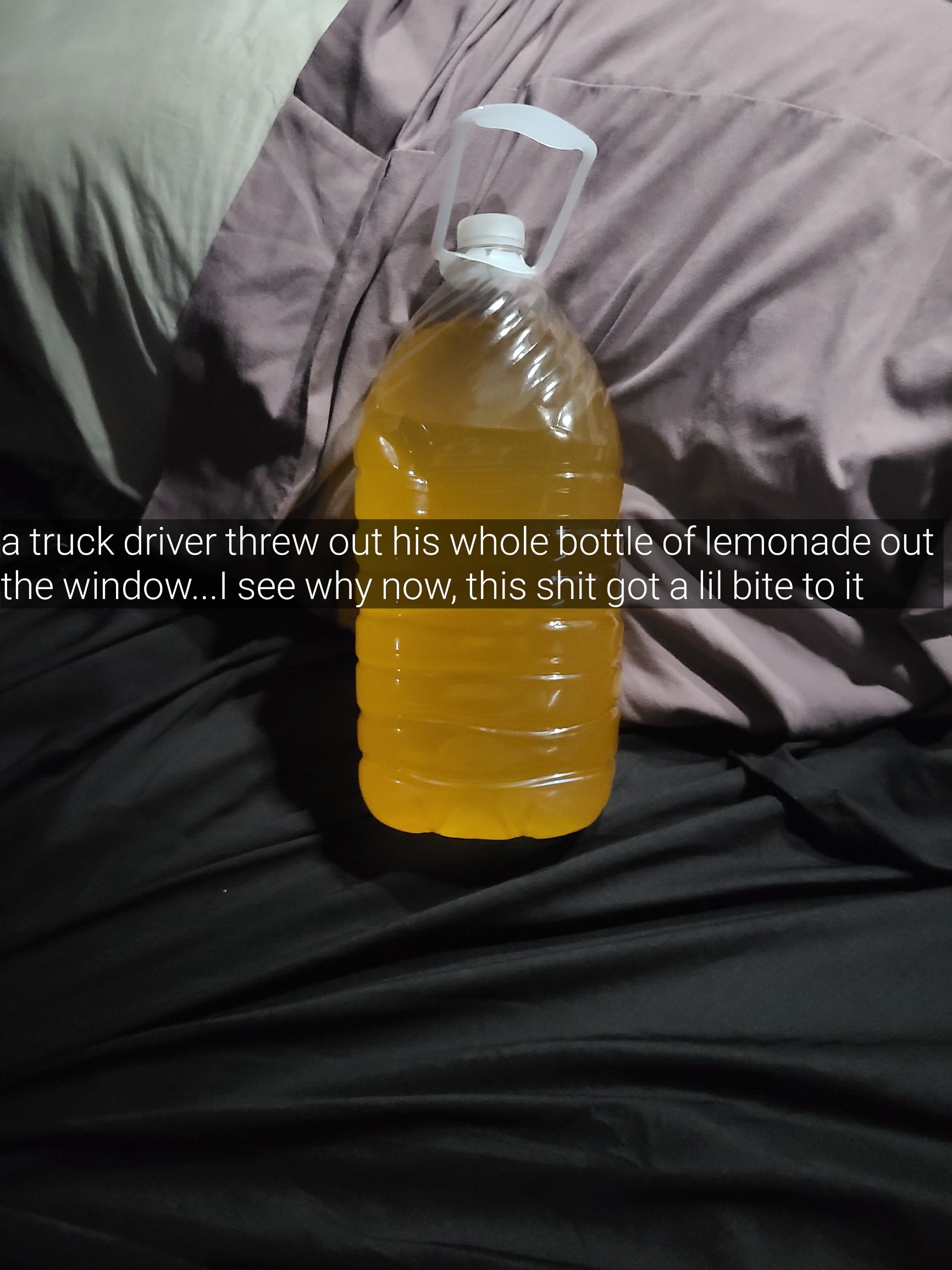 a truck driver threw out hs Wialel bottle of lemonade out the window see why now this shit got a lil bite to it SN