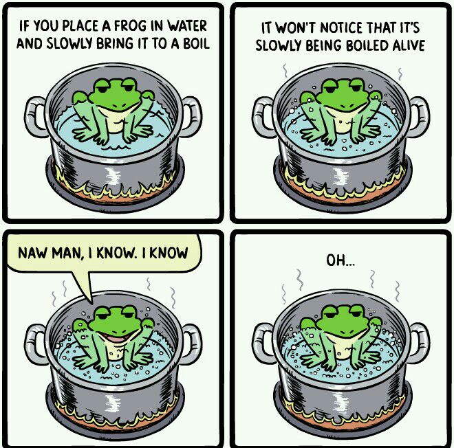 IF YOU PLACE A FROG IN WATER T WONT NOTICE THAT ITS AND SLOWLY BRING IT TQ A BOIL SLOWLY BEING BOILED ALIVE