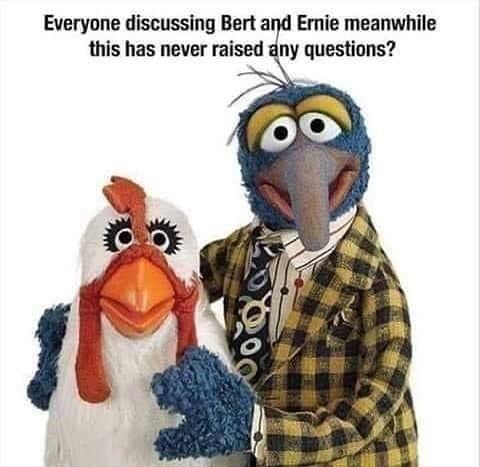 Everyone discussing Bert and Ernie meanwhile this has never raised any questions