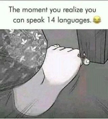 The moment you realize you can speak 14 languages