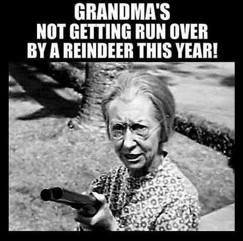 GRANDMAS NOT GETTING RUN OVER BY A REINDEER THIS YEAII