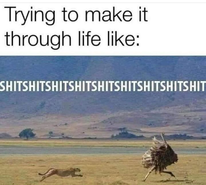 Trying to make it through life like SHITSHITSHITSHITSHITSHITSHITSHITSHIT