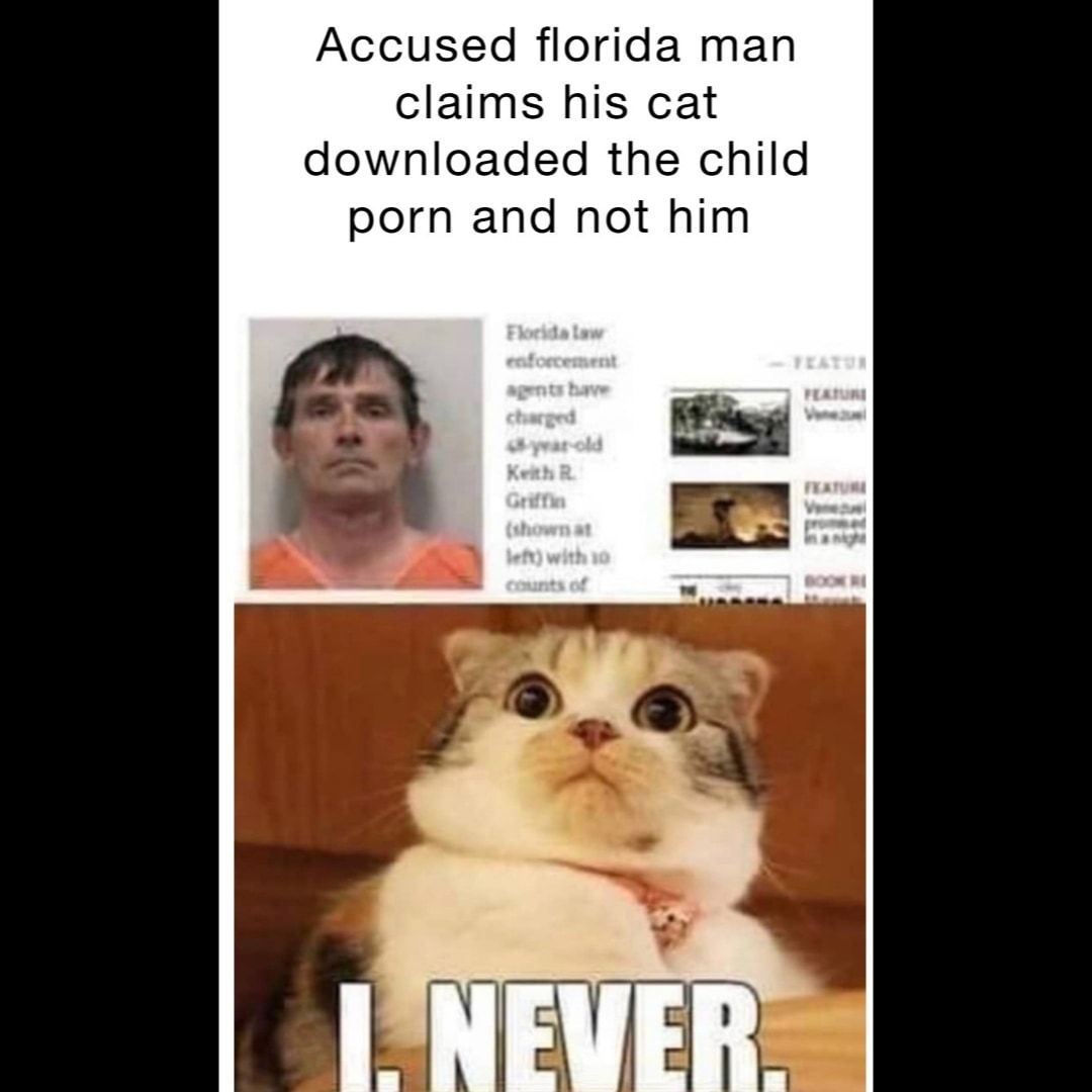 Accused florida man claims his cat downloaded the child porn and not him