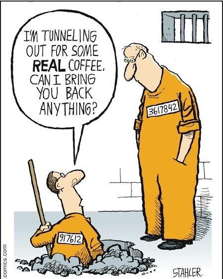 Wwwcomicscom T TUNNELING OUT FOR SOME REAL COFFEE CANT BRING You BACK ANYTHING 2 STAHER 12 2010 Jeff Stahler Dist by UFS Inc